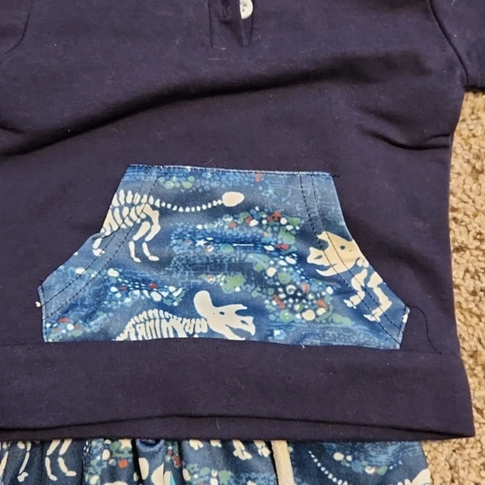 Boys Two Piece Matching‎ Dinosaur Jogging Suit